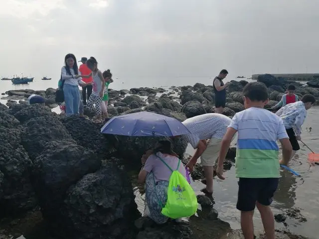 山东龙口桑岛三天两晚旅游详细攻略，第二天，赶海，钓鱼，下海-龙口桑岛旅游攻略2019