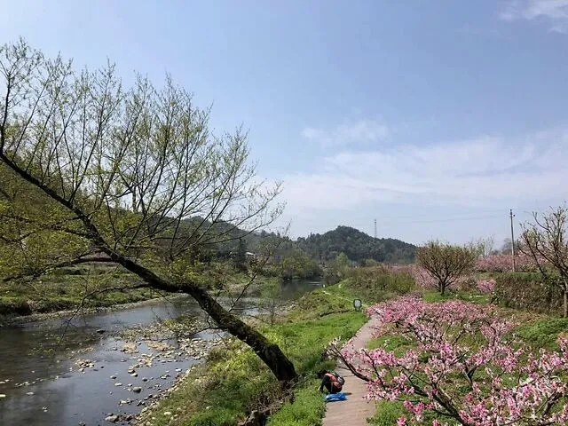 怎么可以错过（桃花源记翻译最简短的）桃花源记翻译最简短的200字 第4张