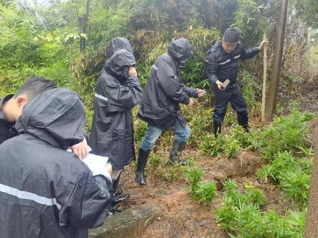 警方上山调查 图源嵊州公安