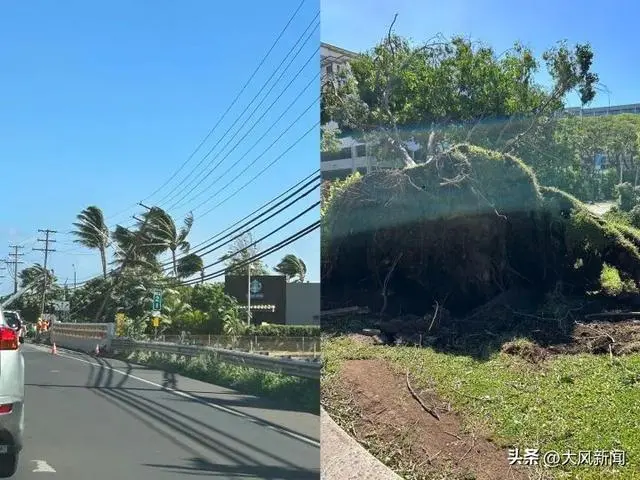 飓风下的毛伊岛 受访者供图