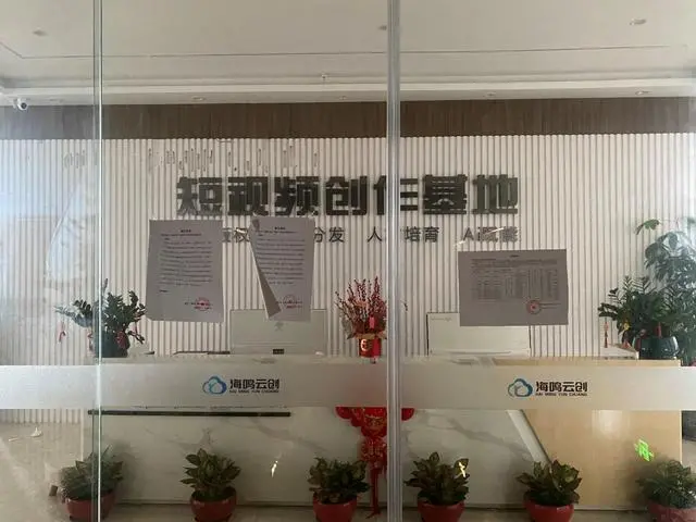 小猪优版投资者梦碎：没日没夜剪短视频 50万