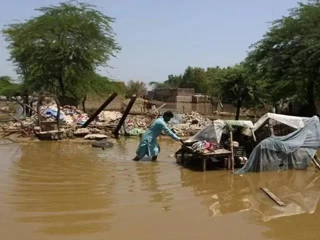 ◆ 截至目前，信德省内数以百计的村庄被淹没，120万人流离失所。