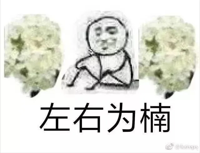 石楠花的味道怎么形容（石楠花的味道怎么形容好听） 第2张