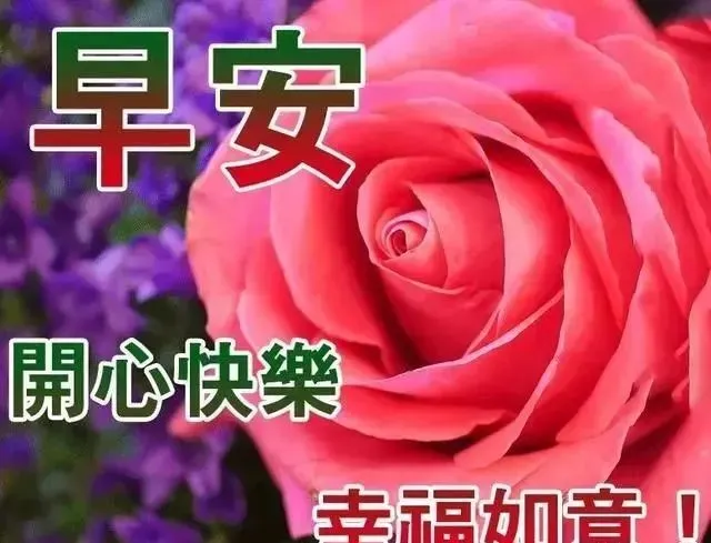 朋友圈最新版清晨早上好问候语美图，12月6日清早早上好问候暖心句子送给你-早上好说说朋友圈说说
