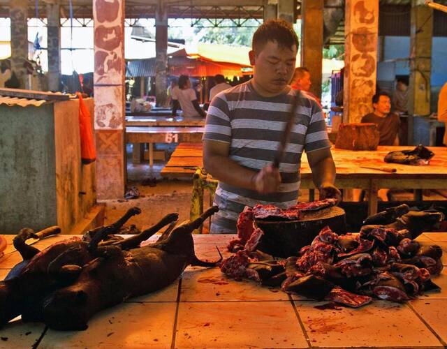 印尼最吓人的美食