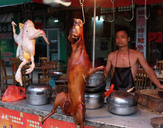 反对玉林狗肉节的国内外爱狗人士最常说的一句话是"狗是人类最好的