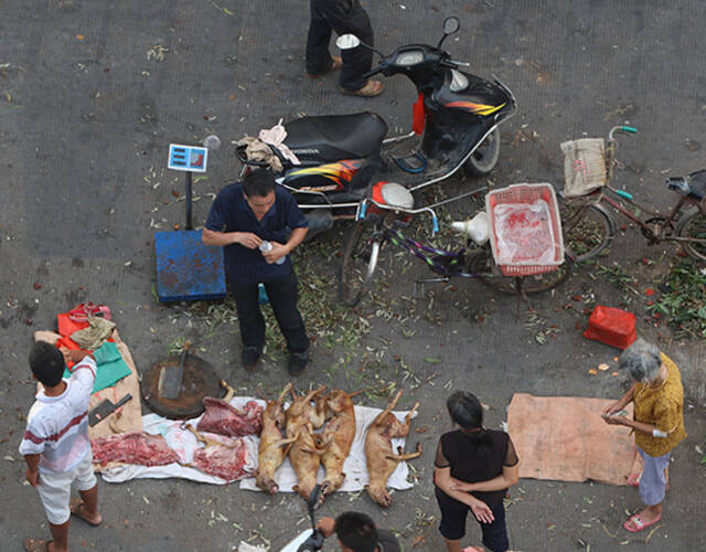 垌口市场是玉林最大的狗肉批发市场,由于往年媒体的集中关注,今年的垌