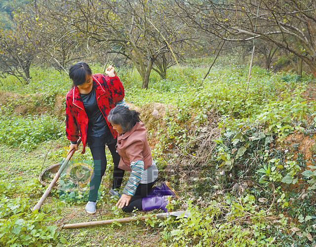 女子守候植物人男友:等你为我披婚纱
