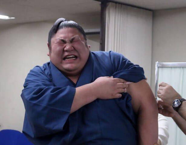 威武日本相扑选手竟然怕打针
