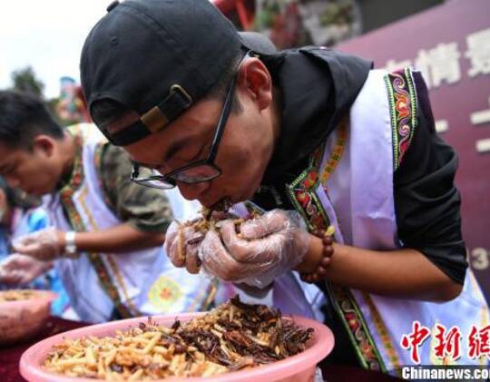 图为游客大口吃昆虫.陈超 摄