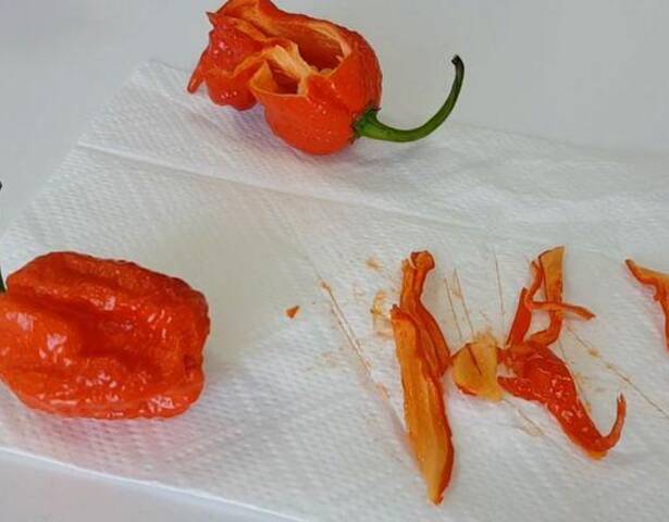 "死亡辣椒"尝试现场,志愿者吃过后称像爆炸