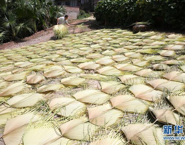 四川内江:"三伏"将至制扇忙