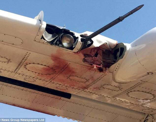 飞行过程中,飞机遭到秃鹰撞击,机翼被撞出一个大洞