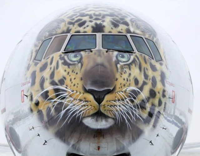 豹"彩绘涂装的777-300飞机,以支持拯救这种稀有大型猫科动物的行动