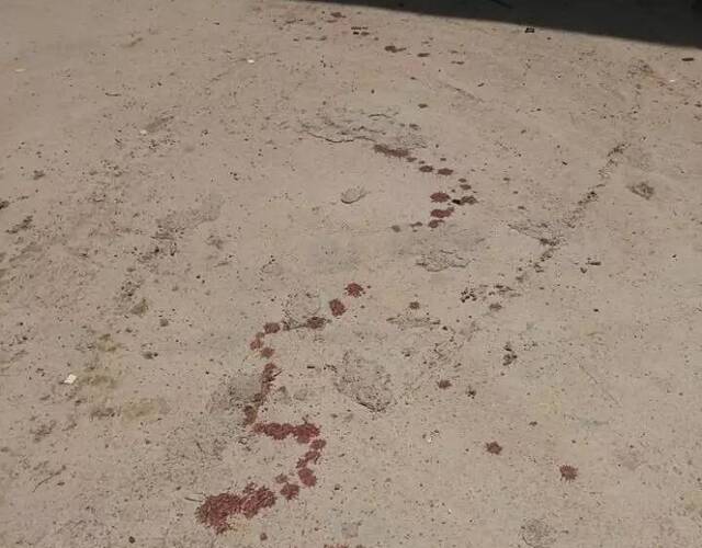 厂房大门紧闭,不过在门口地面上有很多血迹,可见孩子受伤时流了不少血