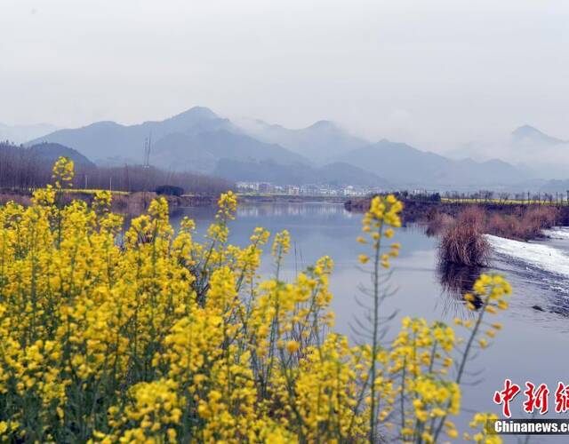 浙江衢州开化钱江源春季美景