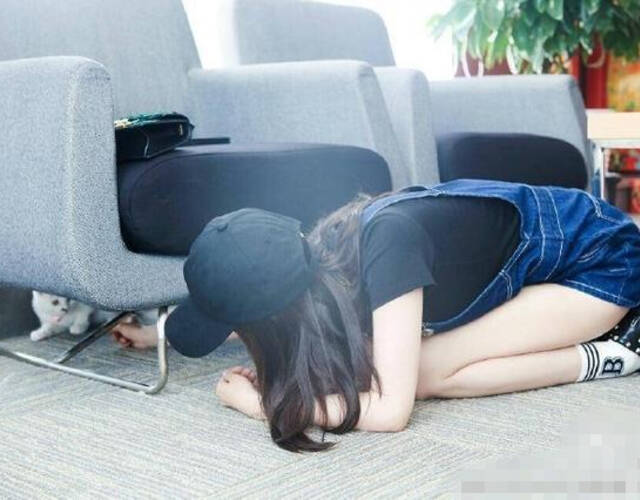 杨幂跪地找猫.