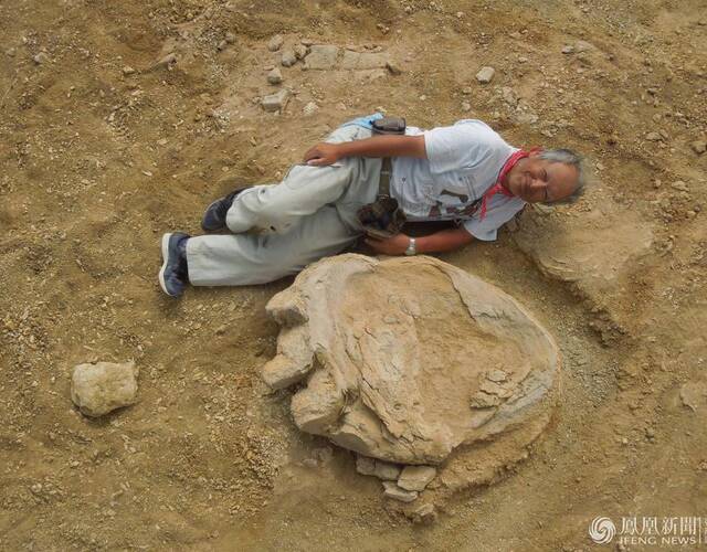 澳洲巨型恐龙脚印跟人差不多长