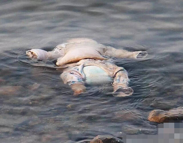 湖北清江发现一具婴儿尸体