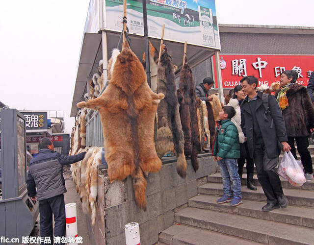 2016年2月10日,陕西临潼,路边摊上挂着许多动物毛皮售卖.