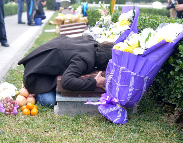 天津百日:烈士陵园举行祭奠活动