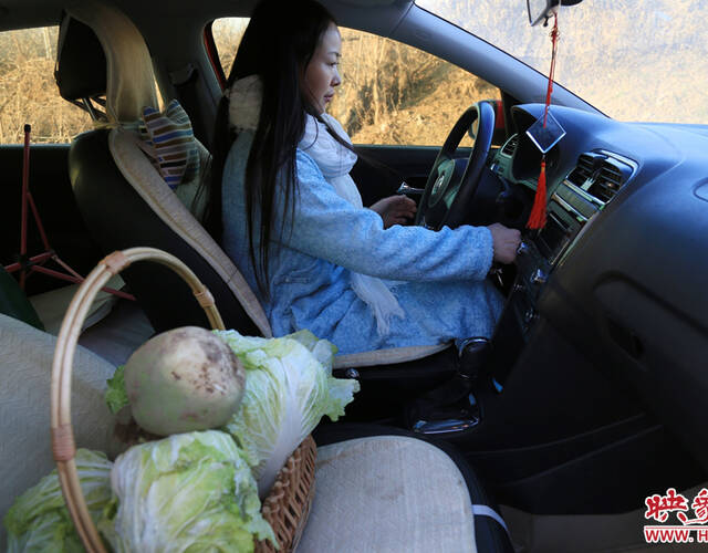 "刘娟有声有色地向记者说起菜园的事情.图为在刘娟开车去种菜.