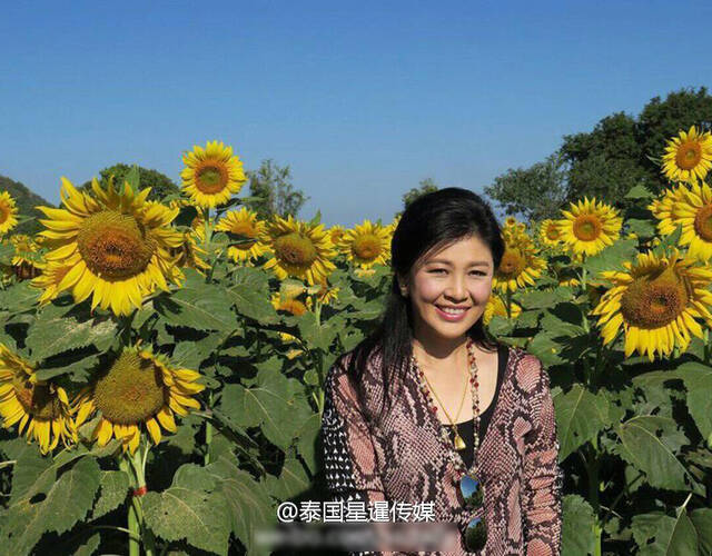 图为英拉.