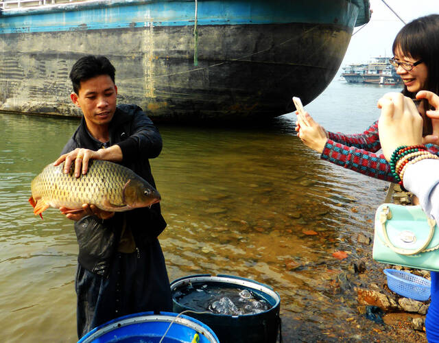信徒江边行善放生 渔民立即撒网捕回来
