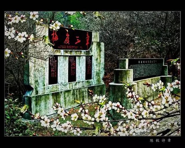 大余是哪个省的？已传疯，大余人都顶起！（大余县是哪个省的）