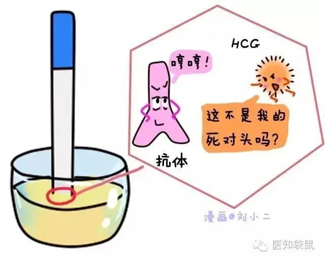 速看（验孕棒怎么可以假怀孕）验孕棒怎么作假急用 第7张