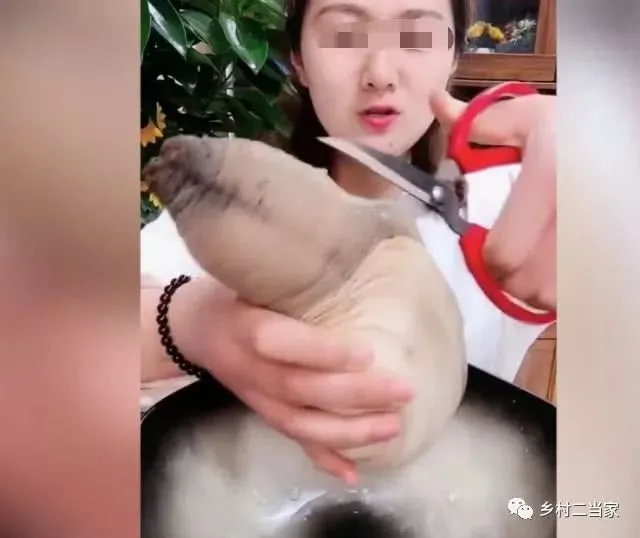 见识下女主播如何吃超大海鲜，生吃超活章鱼简直无敌，不得不佩服（各种直播吃海鲜小视频）