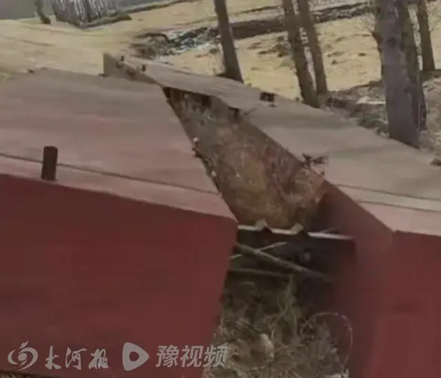 吉林私搭浮桥一家18口被判刑,当事人:生活被完全毁掉 11 吉林私搭浮桥一家18口被判刑,当事人最新回应:生活被完全毁掉