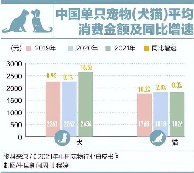 猫粮也被“卡脖子”？中国品牌何时争口气