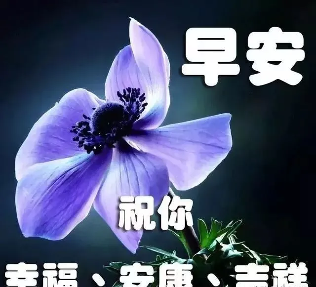 朋友圈最新版清晨早上好问候语美图，12月6日清早早上好问候暖心句子送给你-早上好说说朋友圈说说