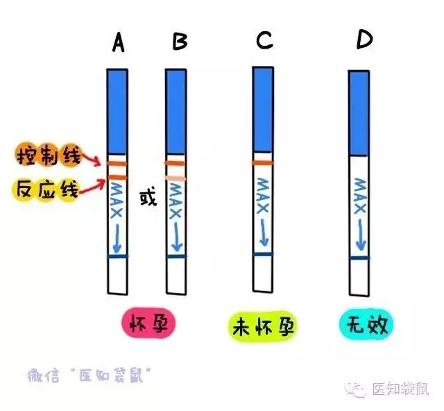 速看（验孕棒怎么可以假怀孕）验孕棒怎么作假急用 第10张