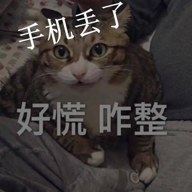 丢手机式分手引全网热议，vivo云服务献上神技巧，网友直言太皮了-手机丢失怎么办vivo