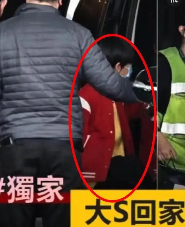 向太的话应验了，看到大S她两个孩子现在的处境，终于有人信了