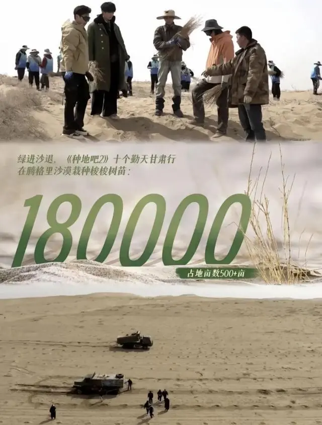 2024年，《种地吧2》十个勤天在甘肃民勤种梭梭树