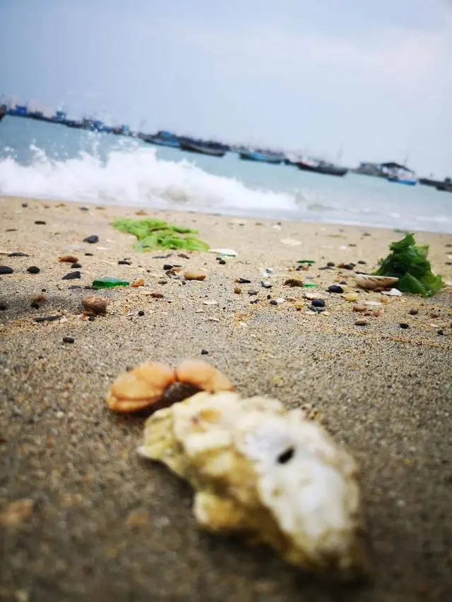 桑岛三天两晚旅游详细攻略，到达第一天，保存好去的时候可以参考-桑岛好玩吗