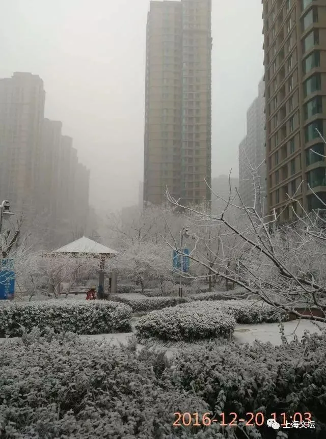 俗语“腊月不斗气，正月不吵嘴”的真正含义是什么？-正月腊月不能算命吗