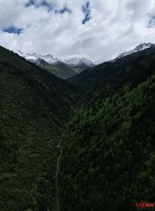 一条弯曲的牧道前往雪山脚下