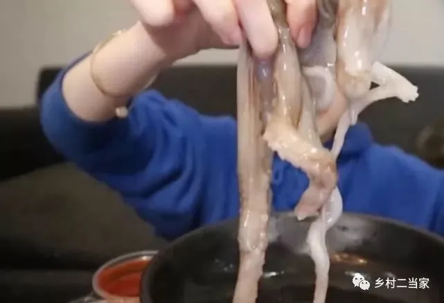 见识下女主播如何吃超大海鲜，生吃超活章鱼简直无敌，不得不佩服（各种直播吃海鲜小视频）