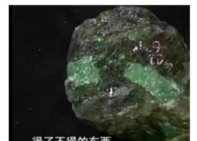 小伙拿翡翠原石去鉴定，估价4个亿（翡翠原石鉴宝视频）