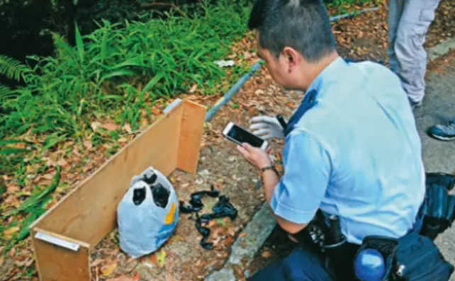 “针织大王”孙女被绑架细节曝光：被囚山洞4天，绑匪拿到2800万后逃跑_https://www.izongheng.net_快讯_第3张