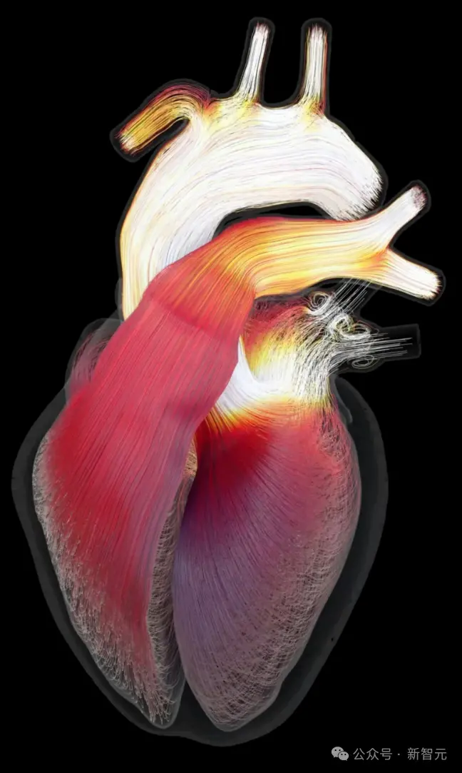 来自伦敦科学博物馆工程师画廊的“虚拟心脏”展览的Jazmín Aguado-Sierra心脏的数字孪生图像