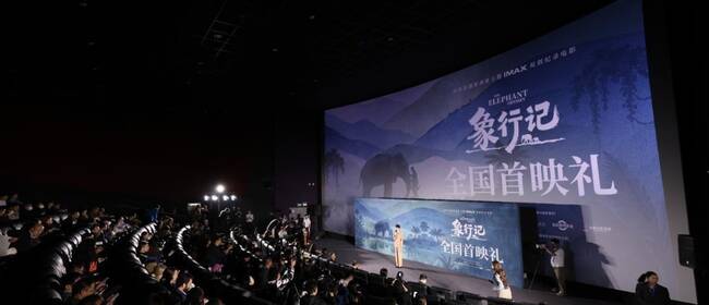 首部亚洲象主题IMAX原创纪录电影《象行记》全国首映礼在北京举办