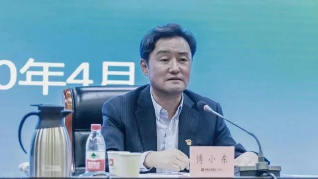 国家开发银行河南分行原行长傅小东被查