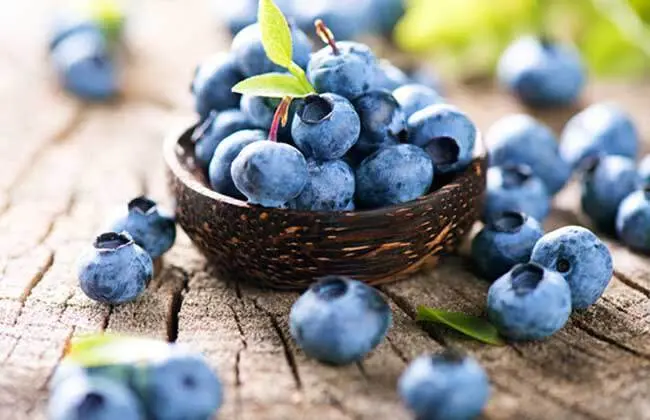 野果南酸枣+蓝莓，齐云山蓝莓南酸枣糕“莓好”上市！