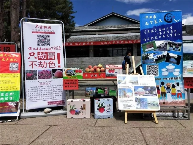 云岭好物有力有效推进乡村全面振兴