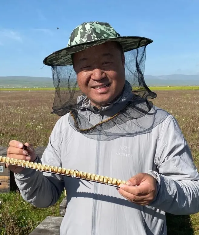 蜂王胎适合什么人群?蜂王胎的作用与功效及禁忌人群（蜂王胎的好处和坏处）